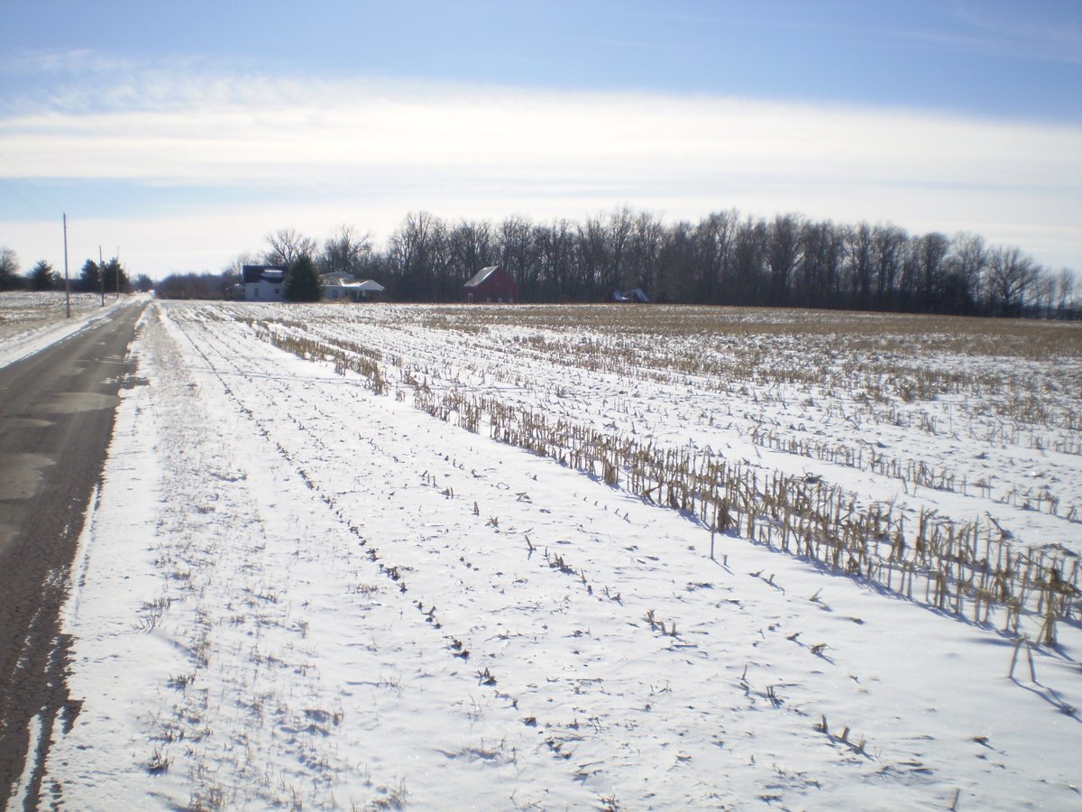 Property photo 15 - 76 Acres Offered in 4 Tracts